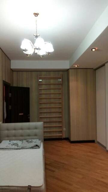 Фото номера Апартаменты с 3 спальнями Апартаменты Dilyara Alieva 237 Apartment г. Баку 27