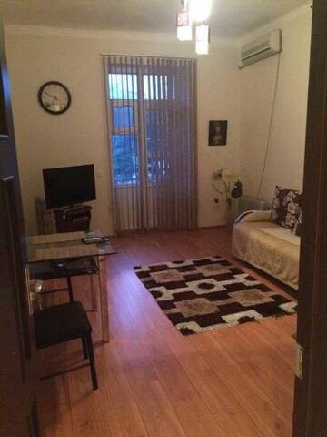 Фото номера Апартаменты Апартаменты Apartment Niyazi 5 г. Баку 48