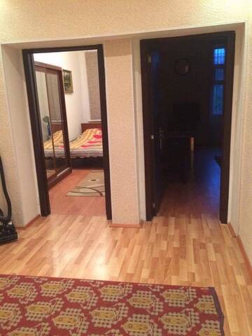 Фото номера Апартаменты Апартаменты Apartment Niyazi 5 г. Баку 20