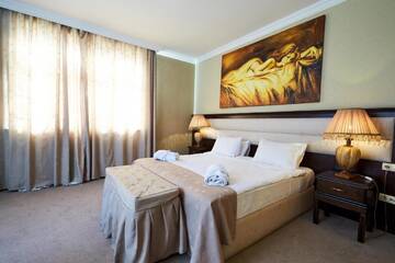 Фото номера Люкс Отель Smith Hotel г. Баку 7