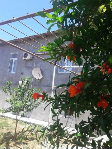 Фото Апартаменты Rental house in village Bine г. Баку 1
