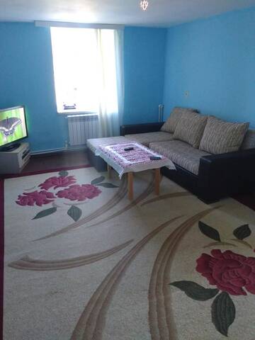 Фото номера Апартаменты с 1 спальней Апартаменты Rental house in village Bine г. Баку 9