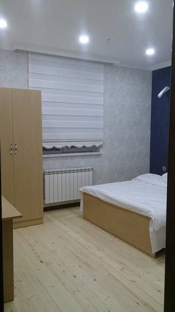 Фото номера Двухместный номер Делюкс с 1 кроватью Мини-отель Baku Butik Mini-Hotel г. Баку 4