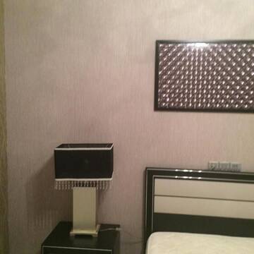 Фото номера Апартаменты Делюкс Апартаменты Azneft Square Apartment г. Баку 35