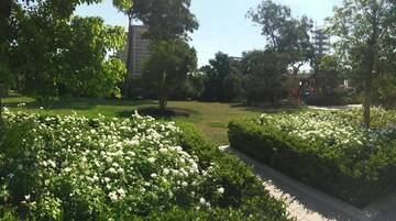Фото номера Апартаменты с 2 спальнями Апартаменты Nizami 118 - PortBaku г. Баку 44