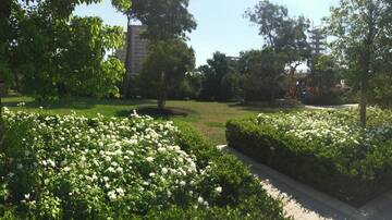 Фото номера Апартаменты с 2 спальнями Апартаменты Nizami 118 - PortBaku г. Баку 29