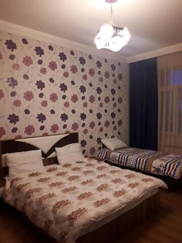 Фото номера Апартаменты с 2 спальнями Апартаменты Ferid Apartament г. Баку 58
