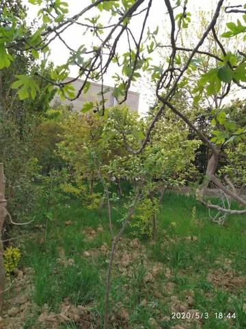 Фото номера Вилла с собственным бассейном Виллы Tale Villa г. Баку 93