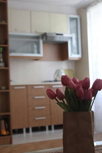 Фото Апартаменты VIP Molocan Garden - Old city, Founatain square, Nizami street area apartment г. Баку 5