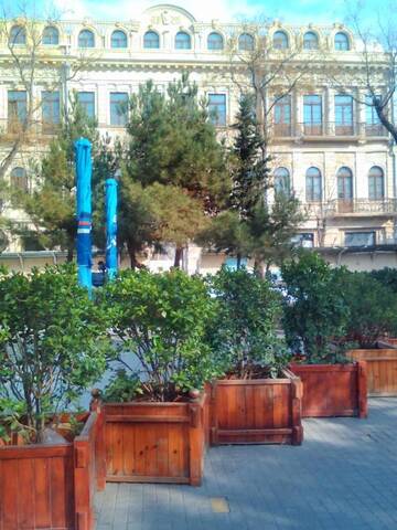 Фото номера Апартаменты с видом на сад Апартаменты VIP Molocan Garden - Old city, Founatain square, Nizami street area apartment г. Баку 12