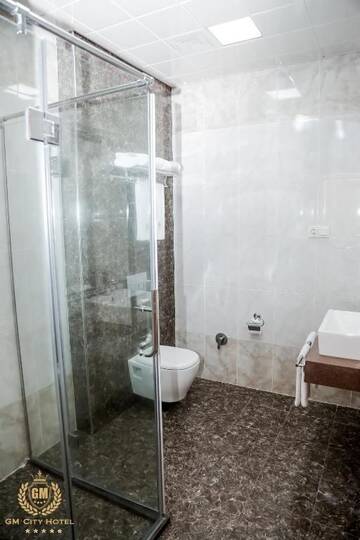 Фото номера Одноместный номер Делюкс Отель GM City Hotel г. Баку 8