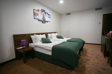 Фото номера Стандартный двухместный номер с 2 отдельными кроватями Отель Da Vinci Hotel г. Баку 7