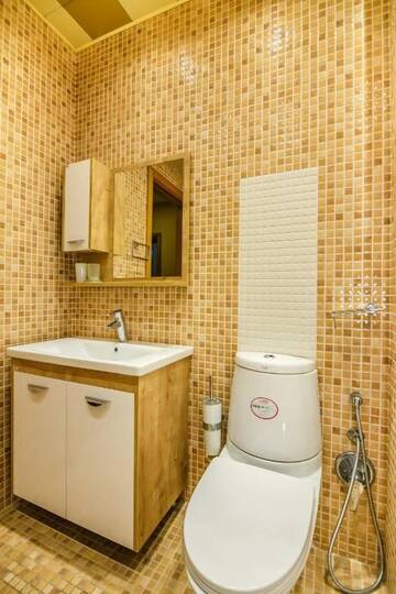 Фото номера Апартаменты с балконом Апартаменты Apartment Near Shah Palace г. Баку 69