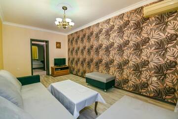 Фото номера Апартаменты Делюкс Апартаменты Vip Central in Nizami Street г. Баку 50