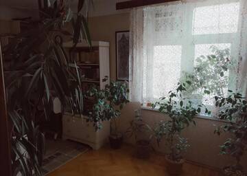 Фото номера Апартаменты Апартаменты Appartment near Ganjlik Mall г. Баку 24