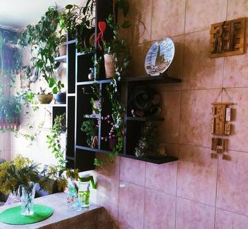 Фото номера Апартаменты Апартаменты Appartment near Ganjlik Mall г. Баку 31