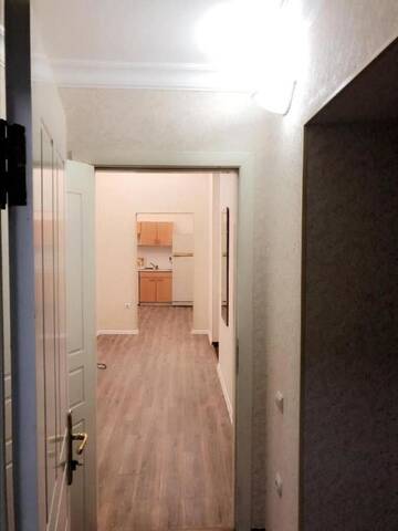 Фото номера Апартаменты - 1-й этаж Апарт-отели Nizami street hotel apartment г. Баку 29