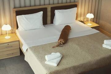Фото номера Люкс с видом на город Отель SECRET HOTEL BAKU г. Баку 9