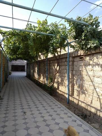 Фото номера Дом для отпуска Дома для отпуска Cozy House in Bina, Bolluq г. Баку 52