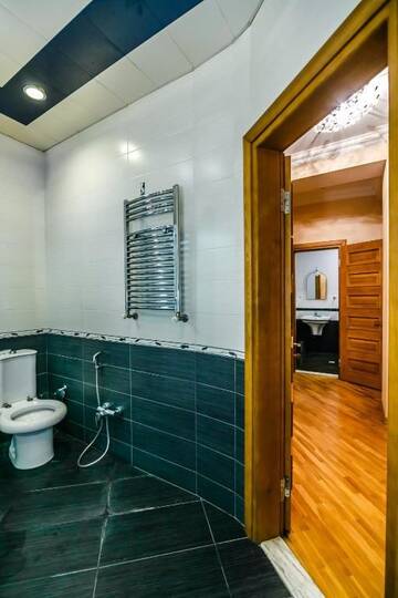 Фото номера Апартаменты Делюкс Апартаменты HOTEL APARTMENT VIP PRAMIDA PLASA г. Баку 14