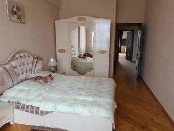 Фото Апартаменты Zarifa Apartment г. Баку 5
