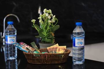 Фото номера Апартаменты с 2 спальнями Апартаменты Apartment of Baku г. Баку 10