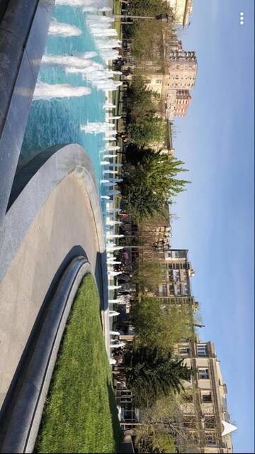 Фото номера Апартаменты с 1 спальней Апартаменты Cozy apartment in the green area of Baku г. Баку 16